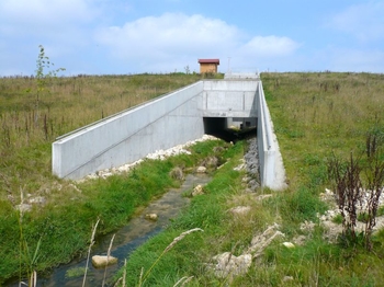 Durch die offene Bauweise des Durchlassbauwerkes ist der Damm kein Hindernis für die im Gewässer lebenden Fische und Kleinlebewesen.