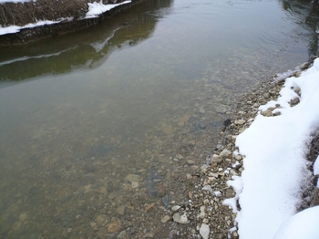 Für die Bachmuschel wurden ca. 1200 m³ Kies im benachbarten Egertal entnommen und ins neue Bachbett eingebracht.