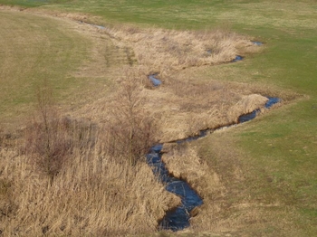 Beckeneinstauraum mit ökologisch umgestaltetem Schenkenbach