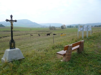 Ein Beweidungsprojekt mit Auerochsen bereichert südlich von Itzlingen die Talaue. Hier stehen 20 Hektar Wiesenfläche zur Verfügung.