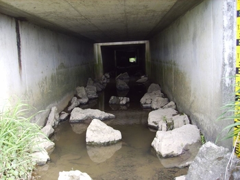 Damit ausreichend Tageslicht in das Durchlassbauwerk für die Wasserlebewesen kommt, wurden 2 Lichtschächte mit eingebaut.