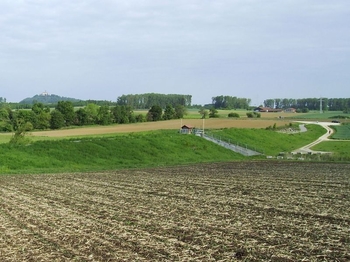 Damm aus 21 000 m³ Erdmaterial mit 50 m breiter Dammscharte für die Hochwasserentlastung